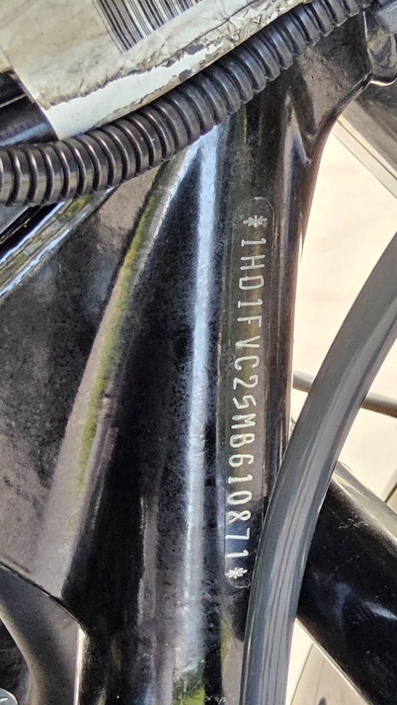 2021 Harley-davidson Electra Glide Standard
