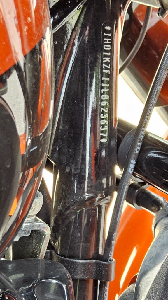 2020 Harley Davidson Fltrk