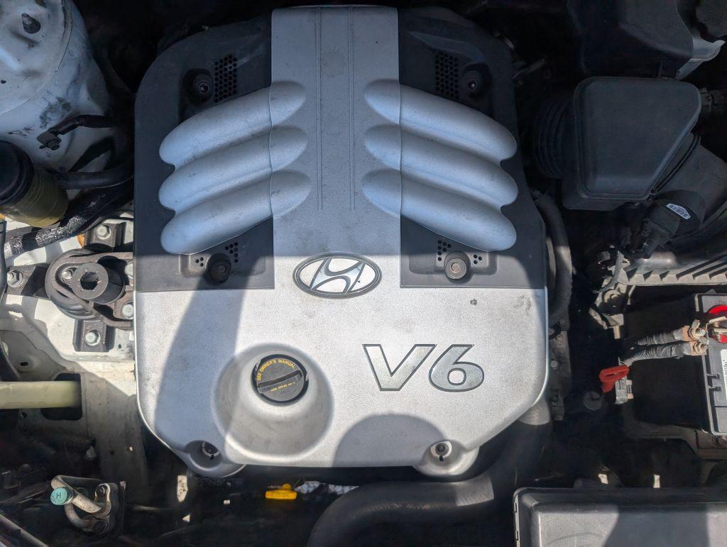 2007 Hyundai Santa Fe SE photo