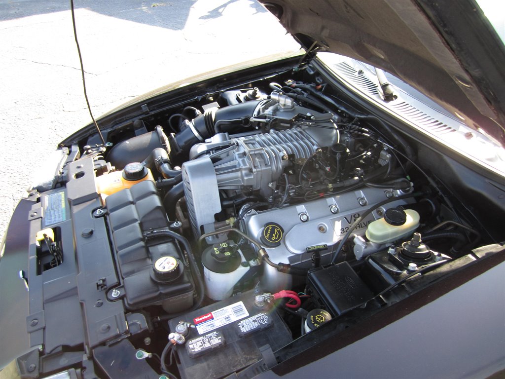 2003 Ford Mustang SVT Cobra photo