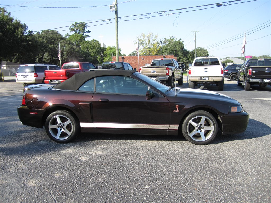 2003 Ford Mustang SVT Cobra photo