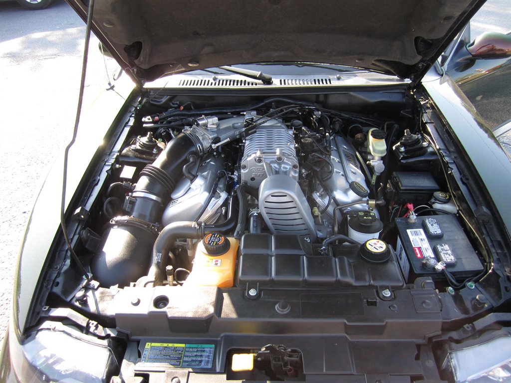 2003 Ford Mustang SVT Cobra photo