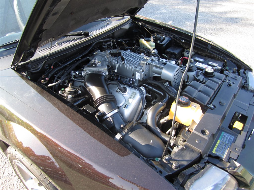 2003 Ford Mustang SVT Cobra photo