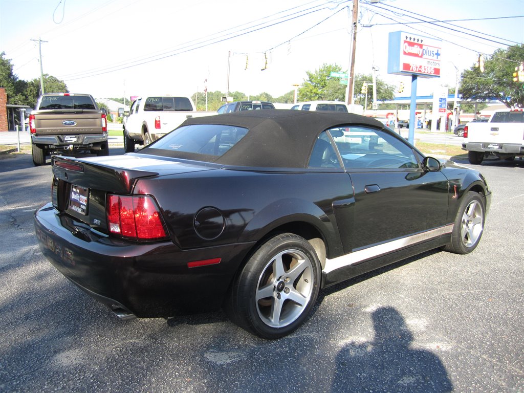 2003 Ford Mustang SVT Cobra photo