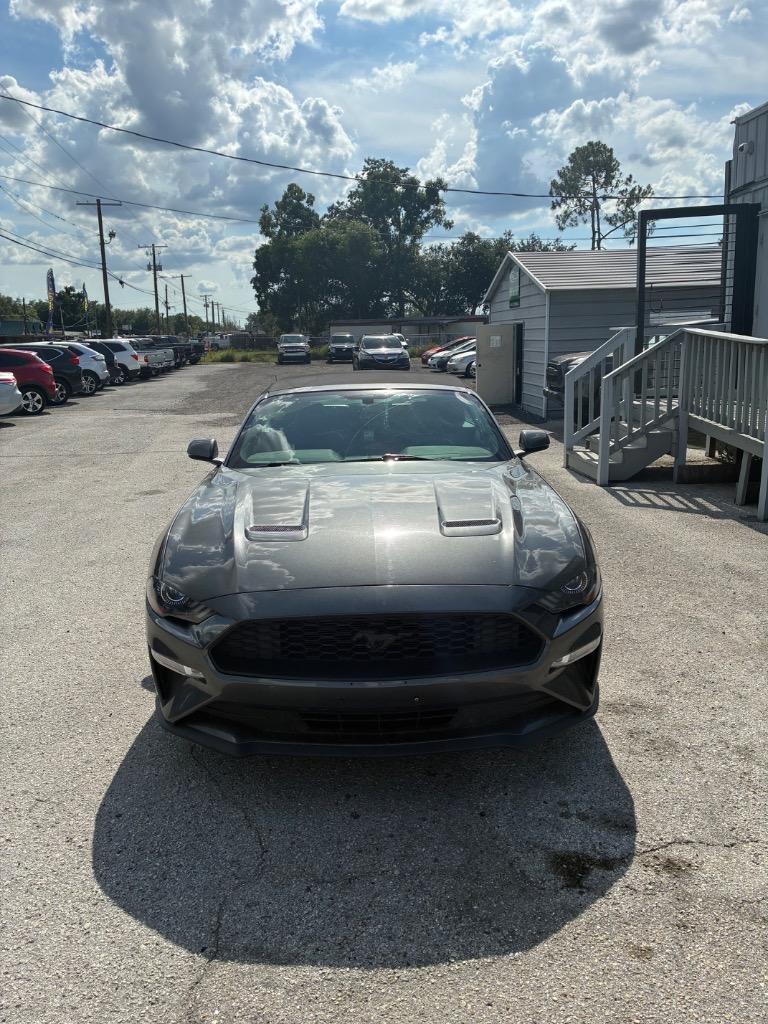 2019 Ford Mustang - $16,900