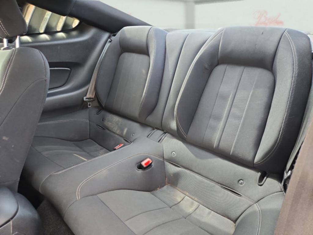 2019 Ford Mustang - $21,999