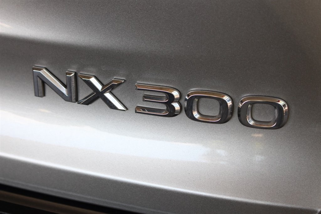 2019 Lexus NX 300 F Sport photo