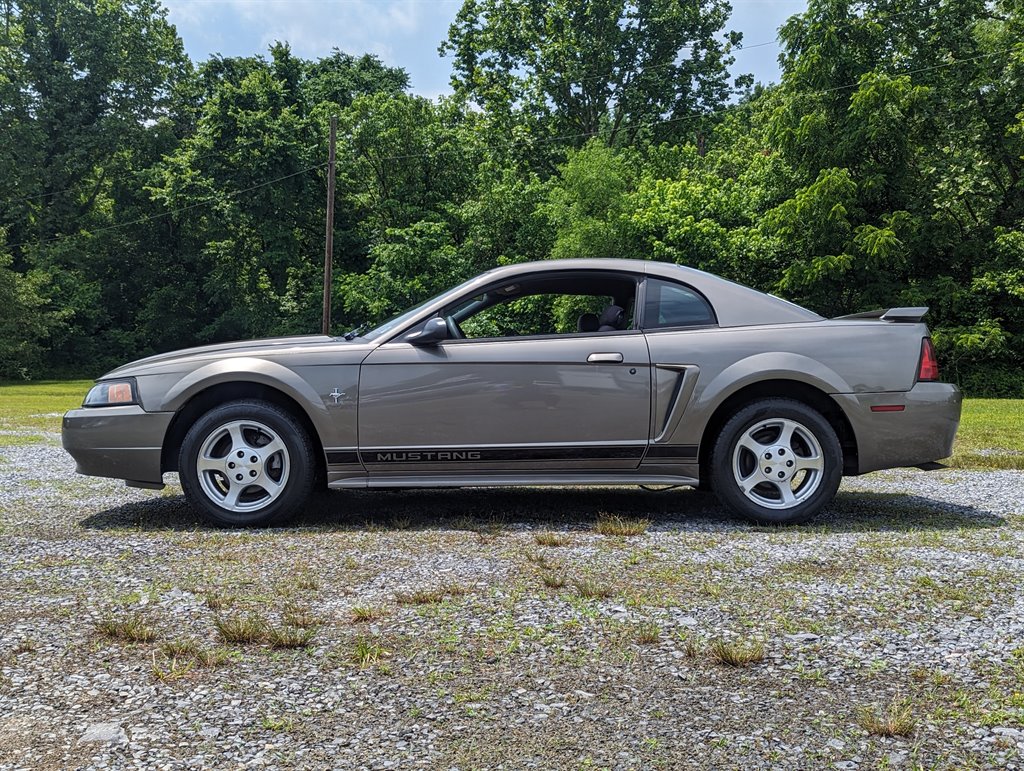 2002 Ford Mustang photo
