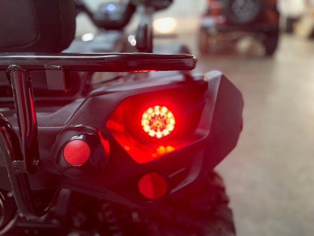 2024 TAIWAN GOLDEN BEE Blade-IRS, Xplorer - $11,999