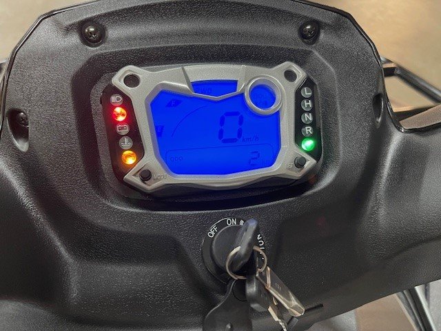 2024 TAIWAN GOLDEN BEE Blade-IRS, Xplorer - $11,999