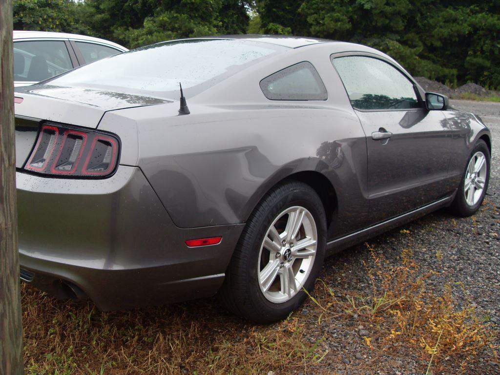 2014 Ford Mustang V6 photo