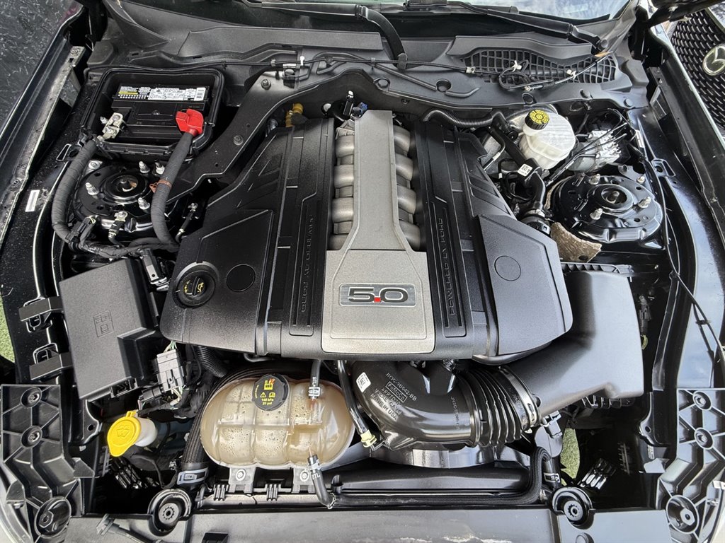 2019 Ford Mustang - $32,995