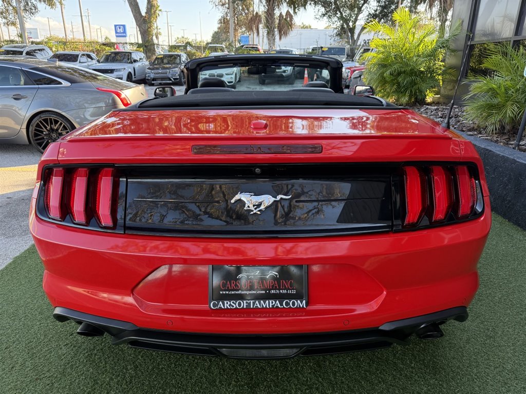 2019 Ford Mustang - $17,995