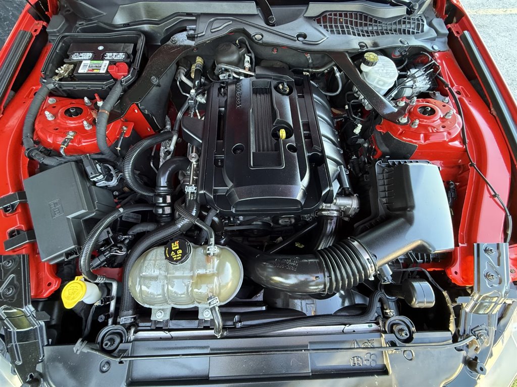 2019 Ford Mustang - $17,995