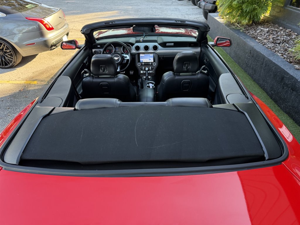 2019 Ford Mustang - $17,995