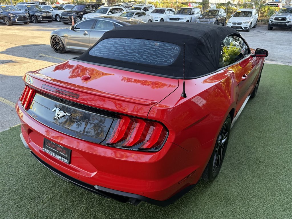 2019 Ford Mustang - $17,995