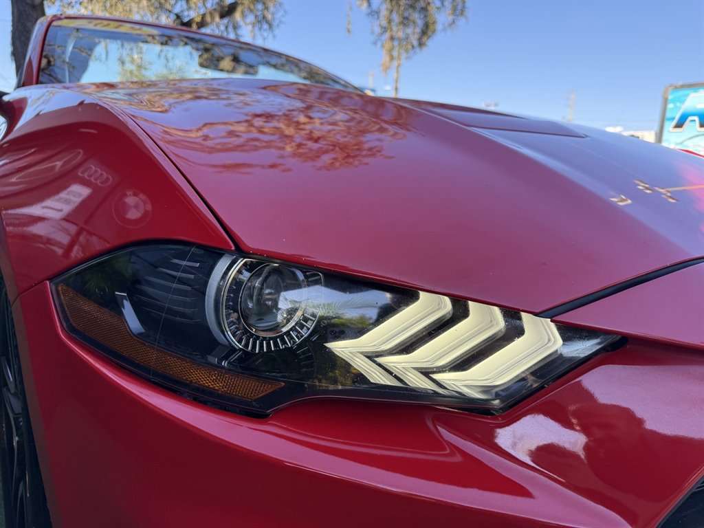2019 Ford Mustang - $17,995