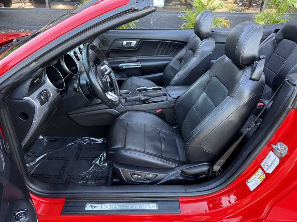 2019 Ford Mustang - $17,995