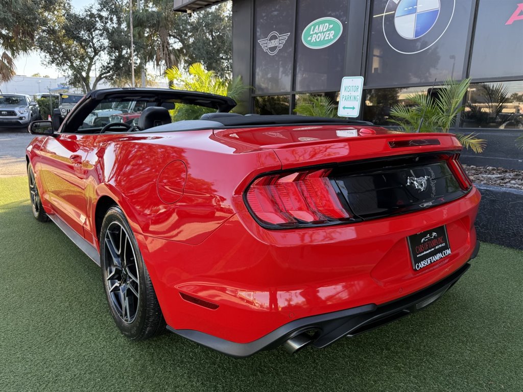 2019 Ford Mustang - $17,995