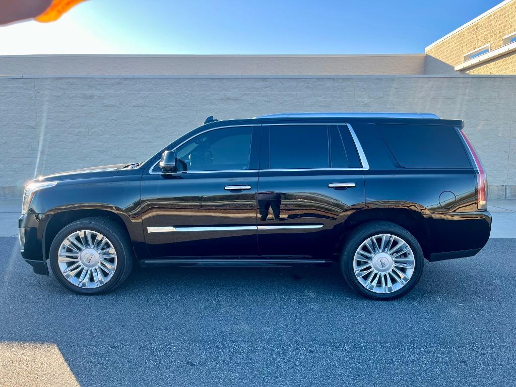 2016 Cadillac Escalade Platinum photo