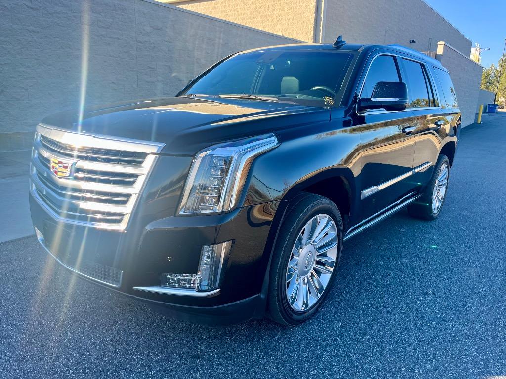 2016 Cadillac Escalade Platinum photo