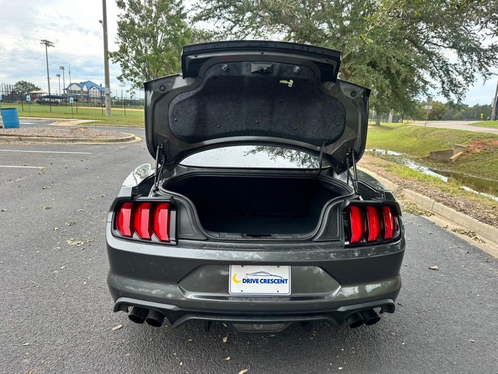 2019 Ford Mustang Eco Premium  14