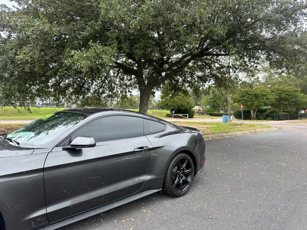 2019 Ford Mustang Eco Premium  3