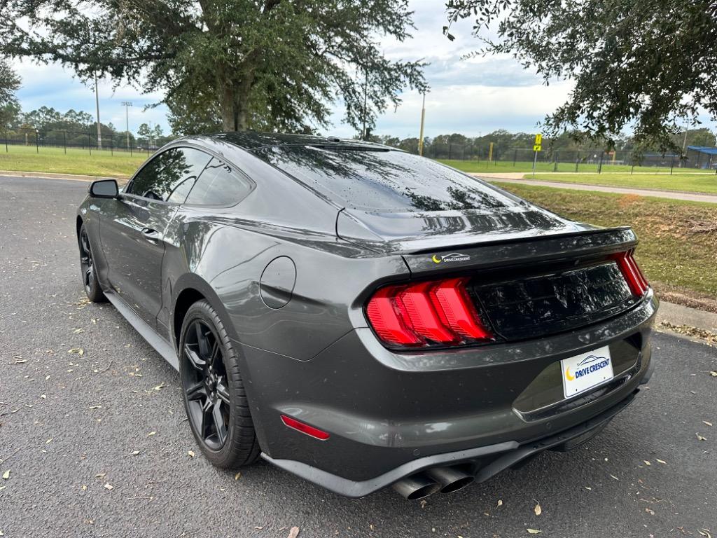 2019 Ford Mustang Eco Premium  12