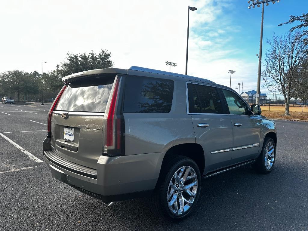 2017 Cadillac Escalade Premium Luxury  19