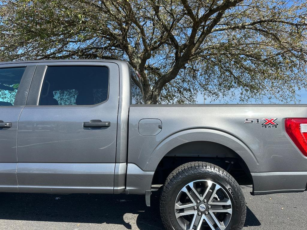 2023 Ford F150 STX photo
