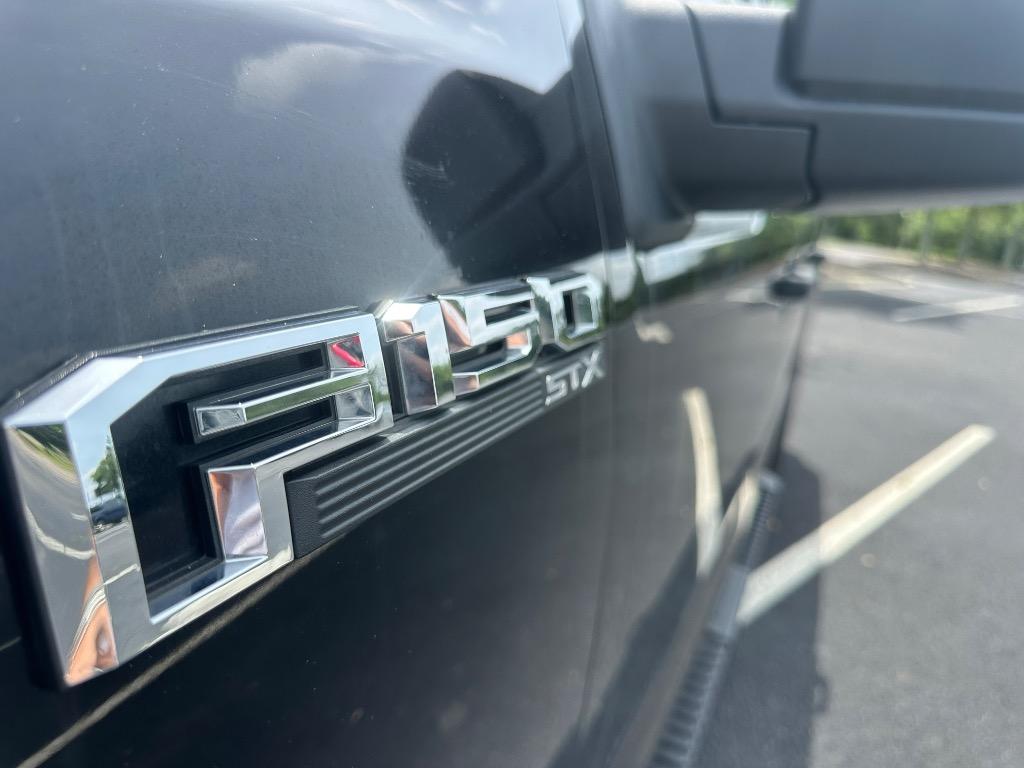 2019 Ford F150 XL photo