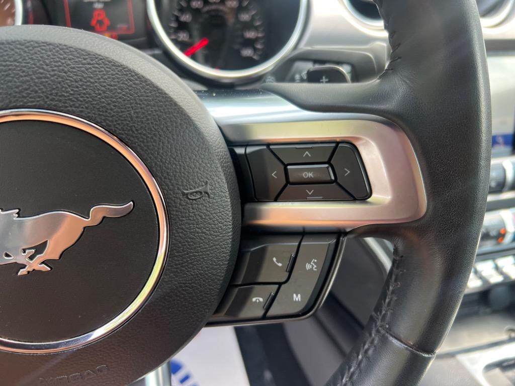 2020 Ford Mustang Eco photo