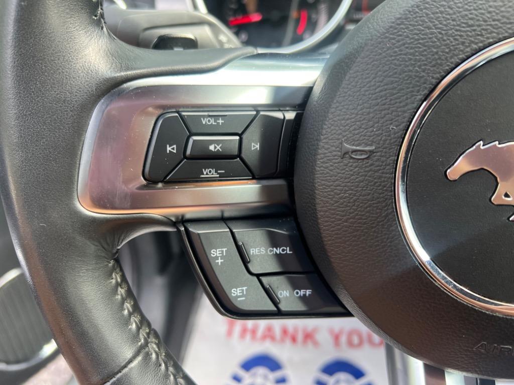 2020 Ford Mustang Eco photo