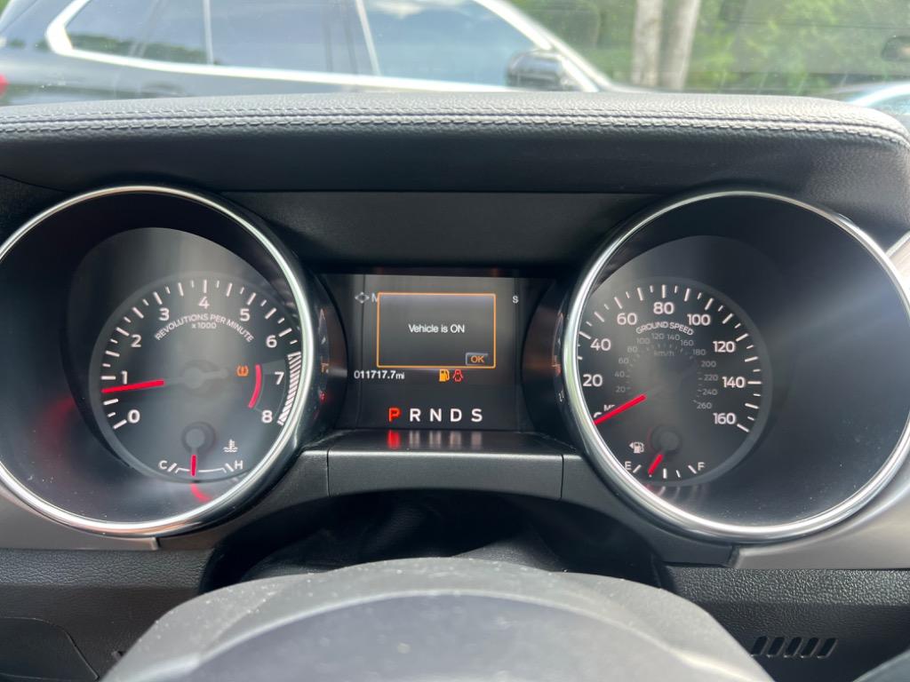 2020 Ford Mustang Eco photo