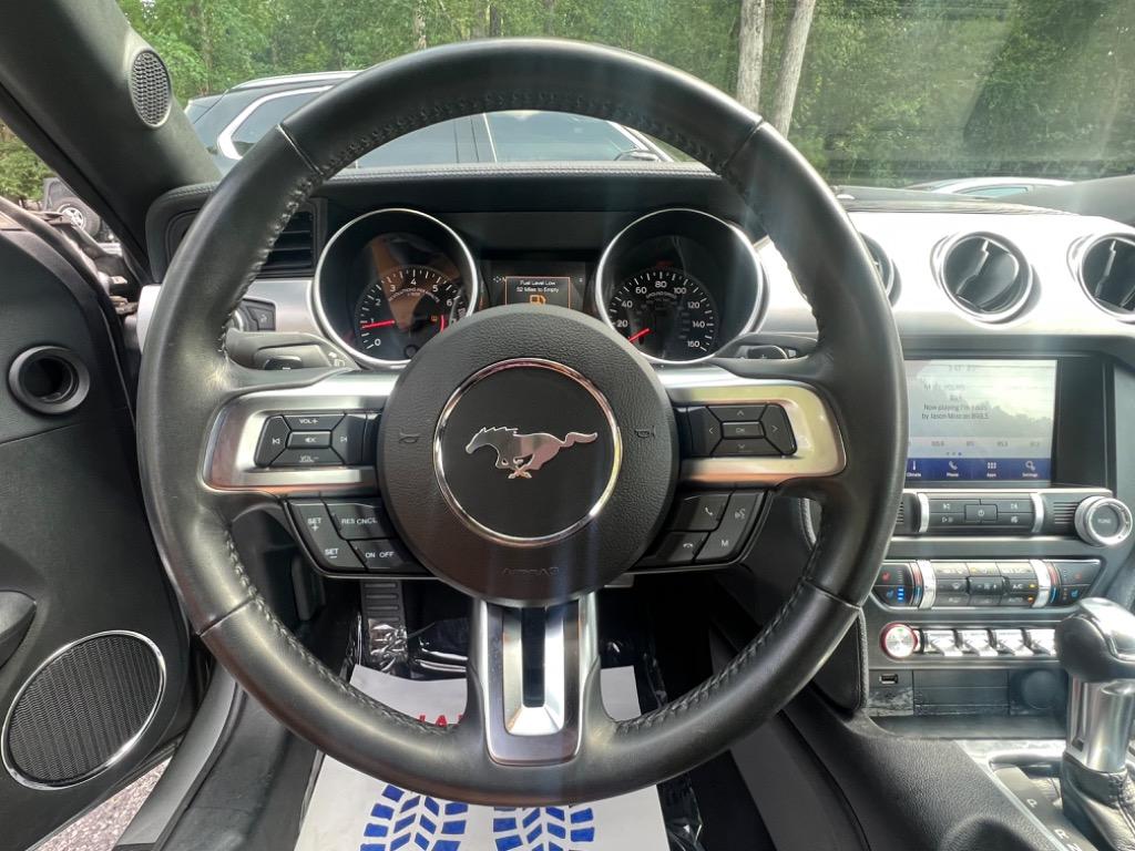 2020 Ford Mustang Eco photo