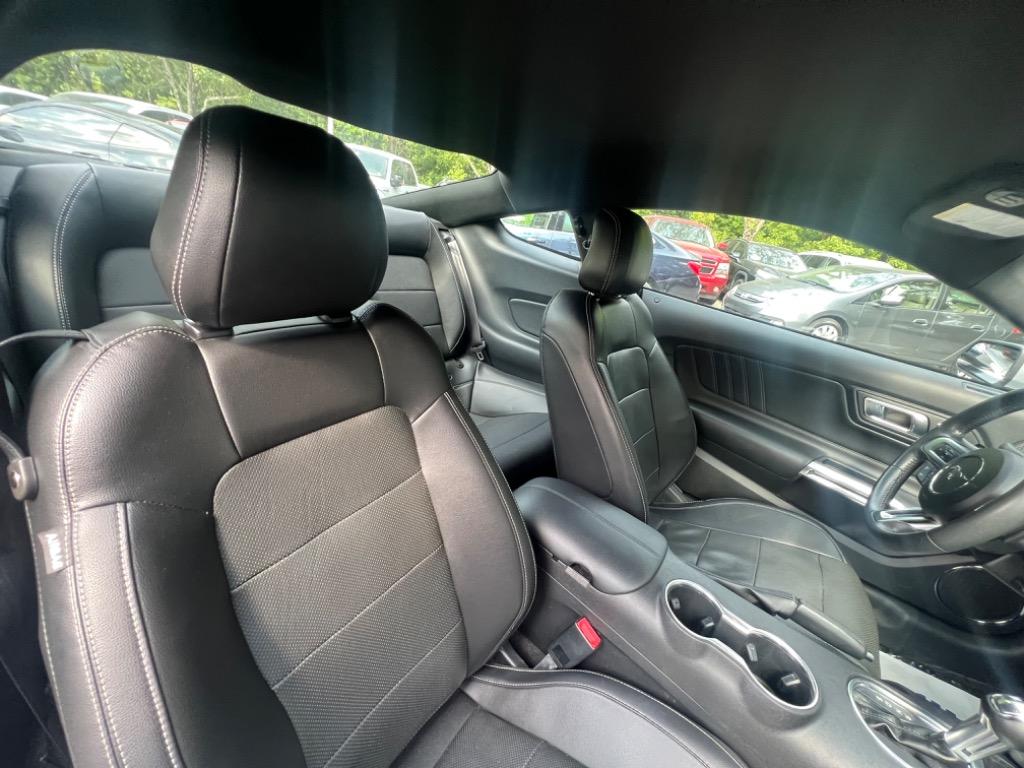 2020 Ford Mustang Eco photo