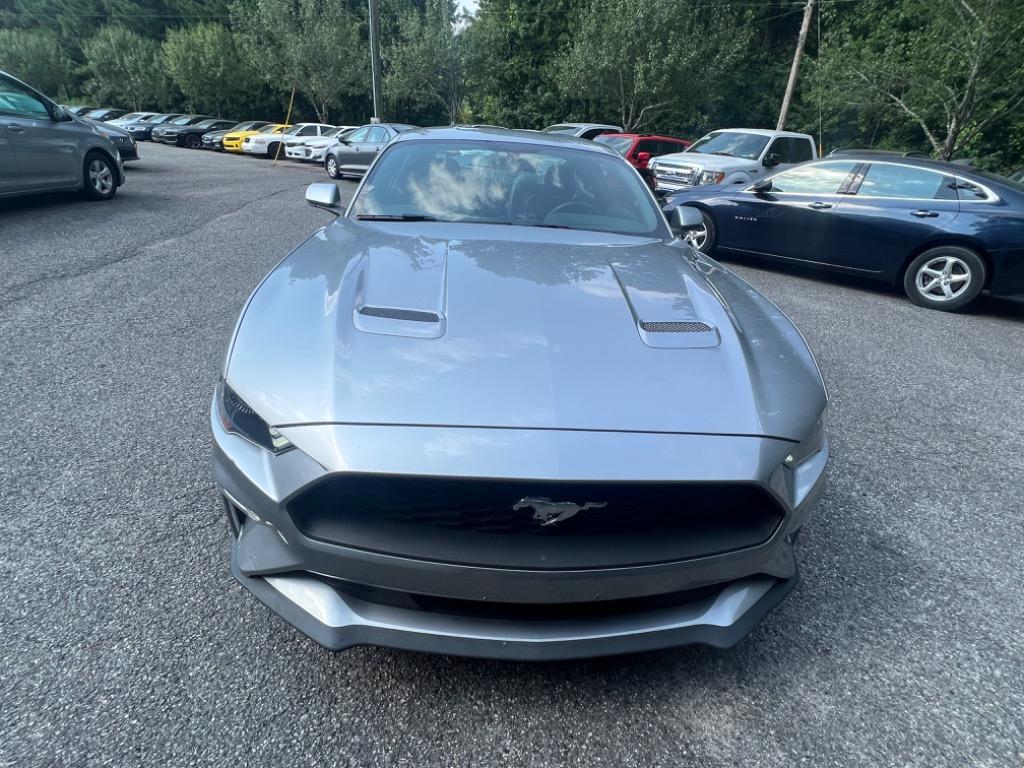 2020 Ford Mustang Eco photo