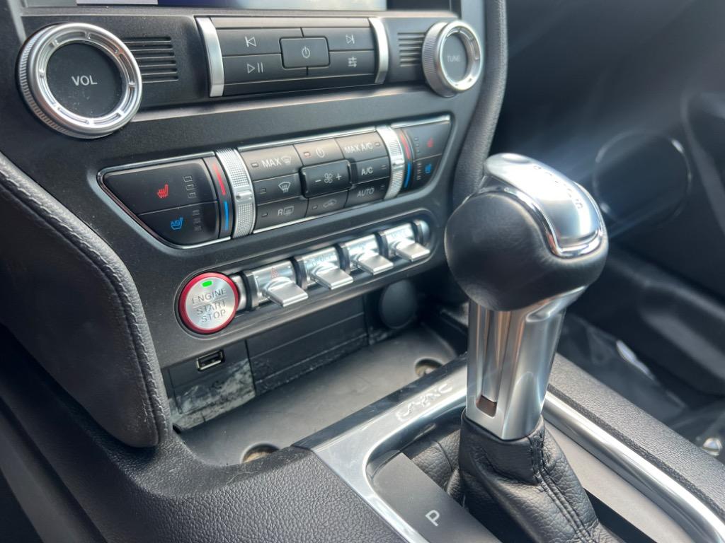 2020 Ford Mustang Eco photo