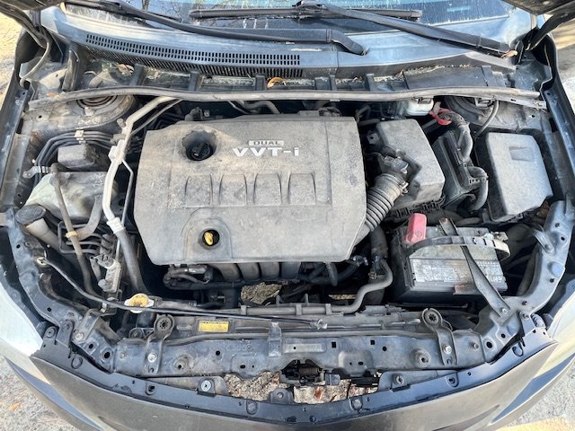 2010 Toyota Corolla photo