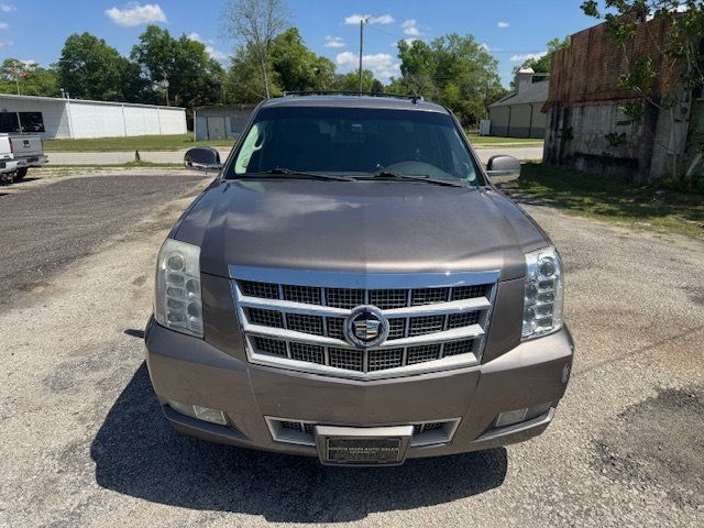 2012 Cadillac Escalade Platinum Edition photo
