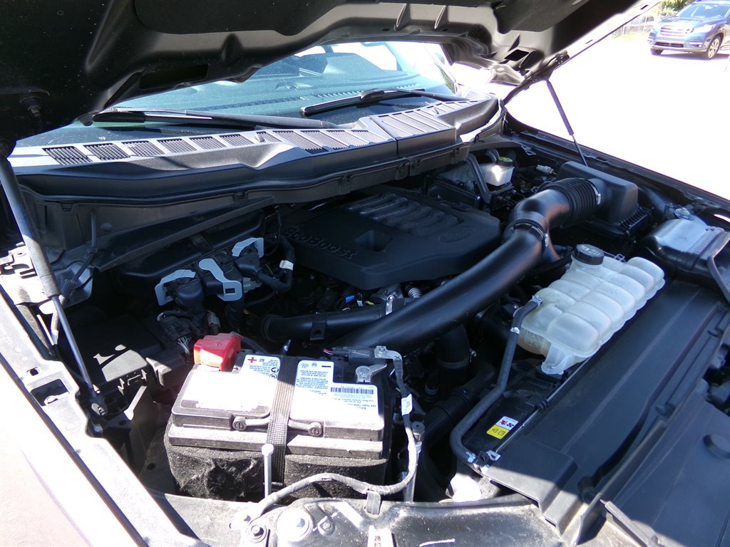 2023 Ford F150 XLT photo