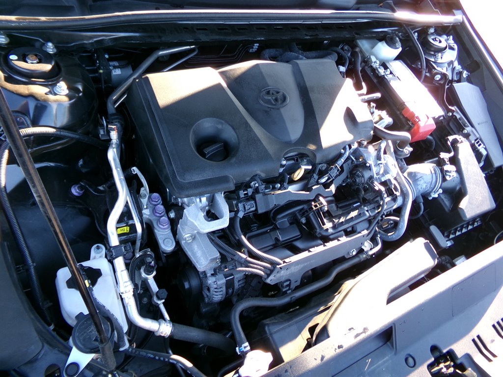 2023 Toyota Camry LE photo