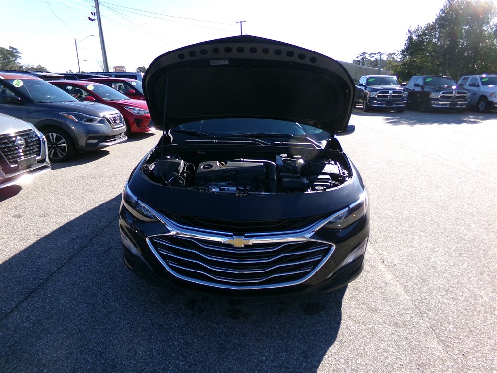 2023 Chevrolet Malibu 1LT photo