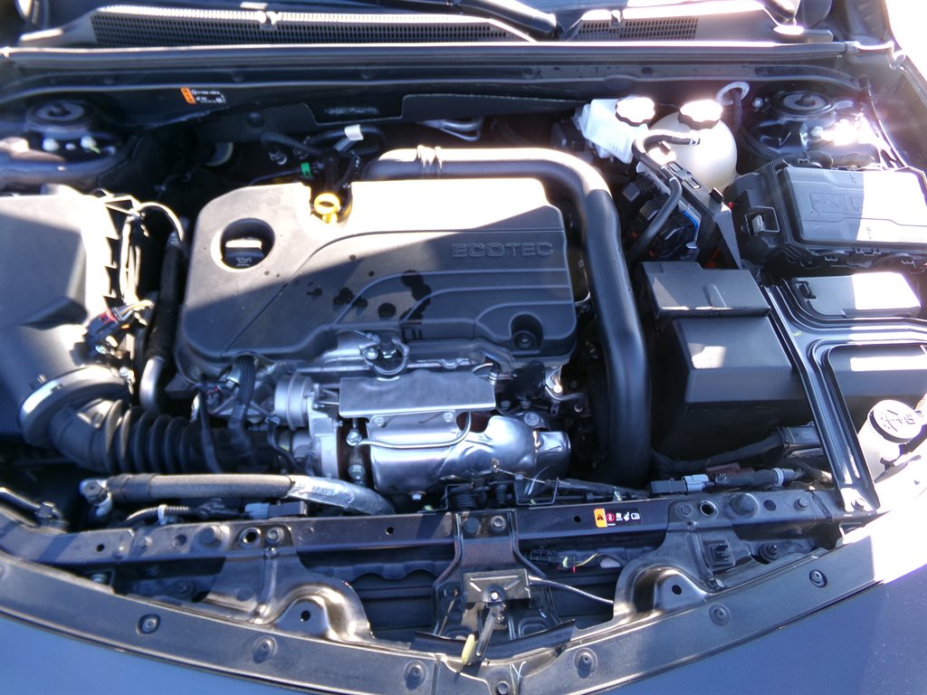 2023 Chevrolet Malibu 1LT photo