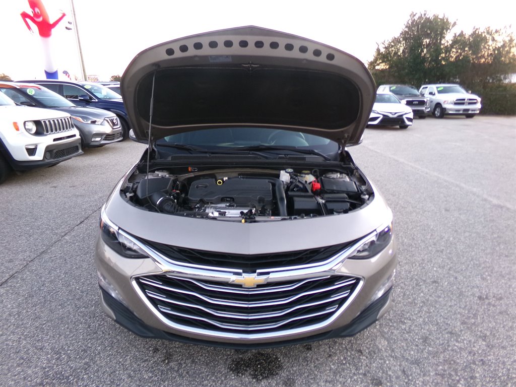 2023 Chevrolet Malibu 1LT photo