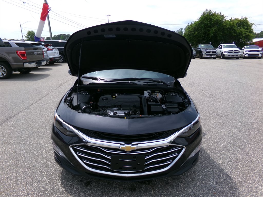 2023 Chevrolet Malibu 1LT photo