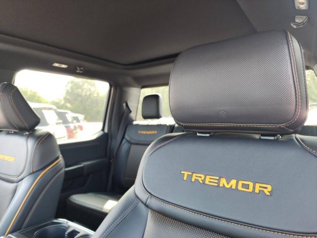 2023 Ford F-150 Tremor photo