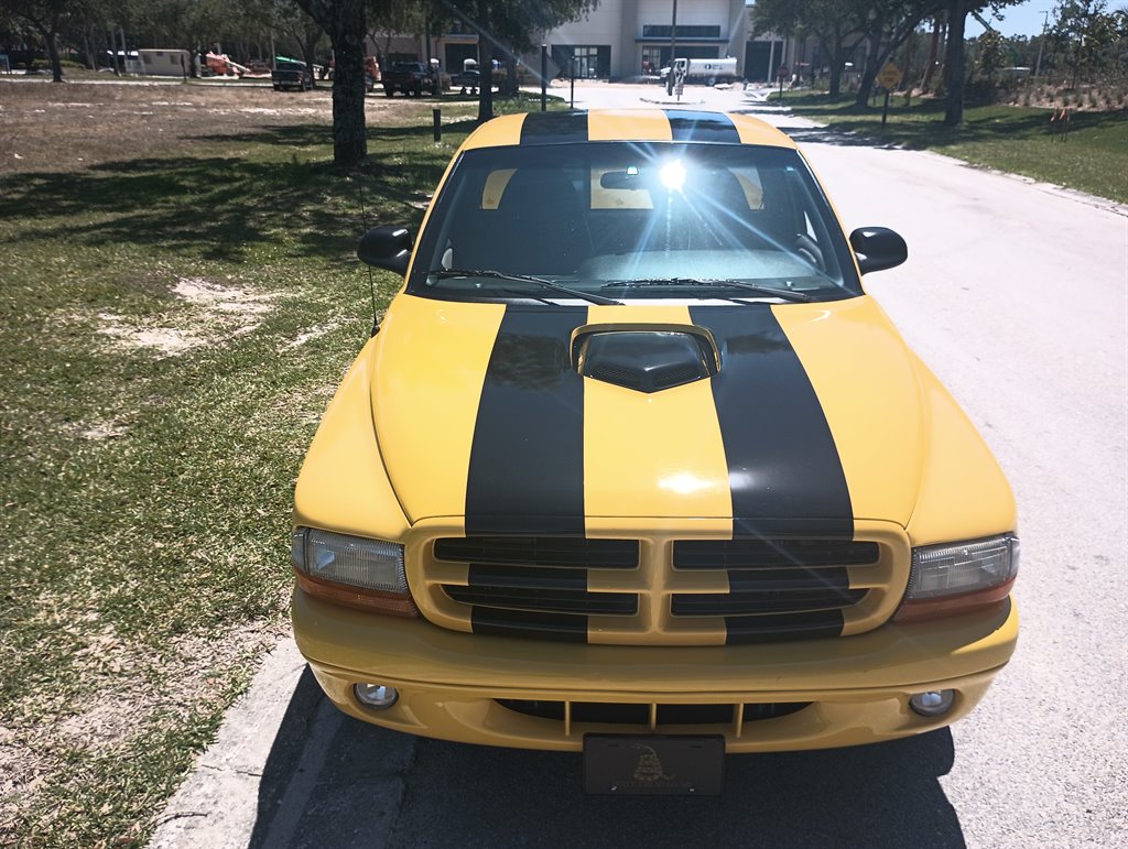 1999 Dodge Dakota R/T Sport photo
