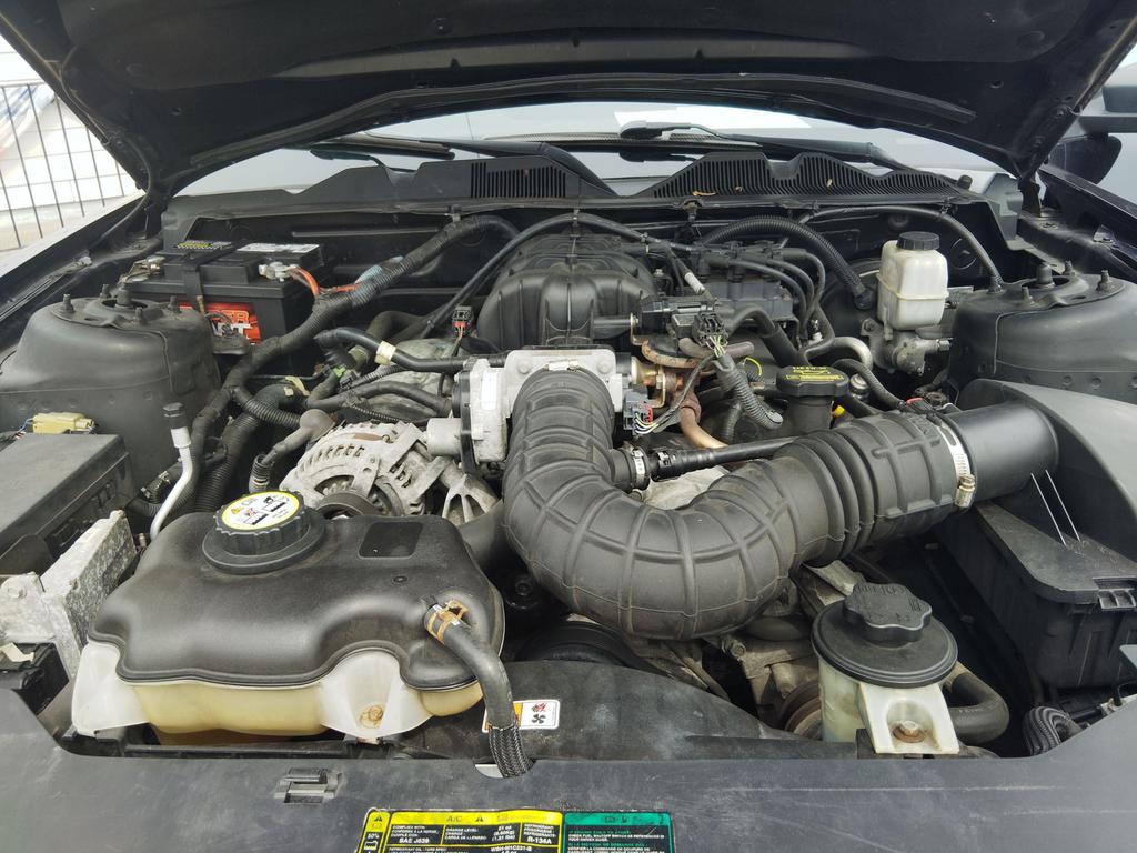 2010 Ford Mustang V6 Premium photo