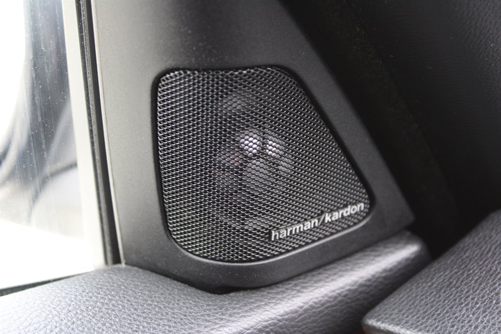 2013 BMW Legend 335is photo